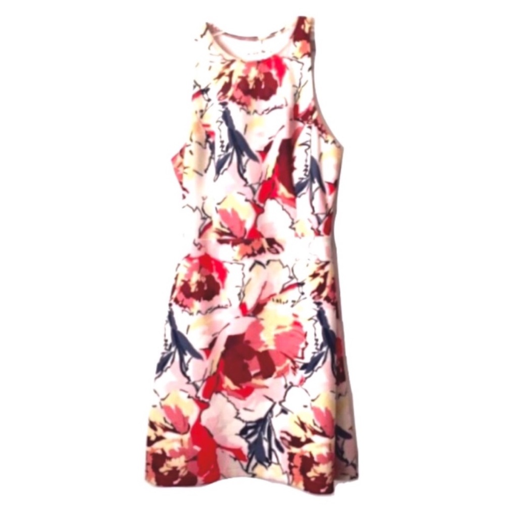 🐝 Abercrombie & Fitch Red Floral Print Dress